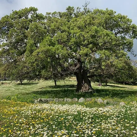 Traumhaus Nisyros Villa Páli