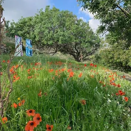 Villa Traumhaus Nisyros Skála