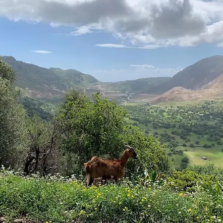 Traumhaus Nisyros * Páli