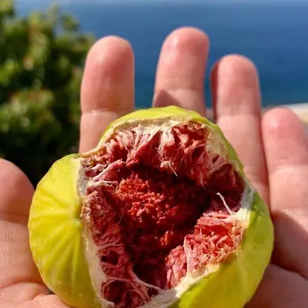 Villa Traumhaus Nisyros