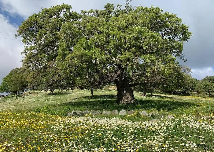 Traumhaus Nisyros Вилла Paloi