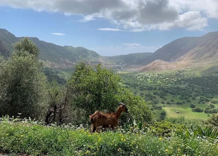 Traumhaus Nisyros * Paloi